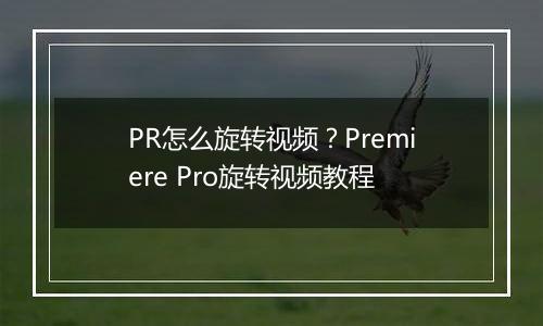 PR怎么旋转视频？Premiere Pro旋转视频教程