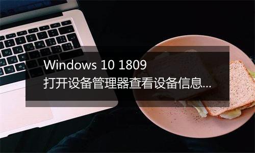 Windows 10 1809打开设备管理器查看设备信息就死机/重启怎么办？