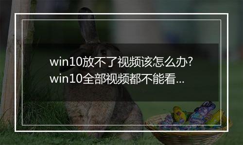 win10放不了视频该怎么办?win10全部视频都不能看的解决方法