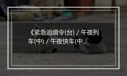 《紧急追缉令(台) / 午夜列车(中) / 午夜快车(中)》PS ISO