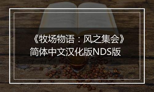 《牧场物语：风之集会》简体中文汉化版NDS版