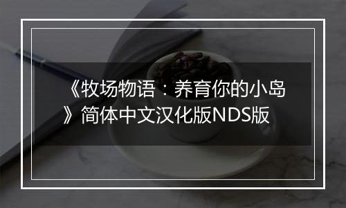 《牧场物语：养育你的小岛》简体中文汉化版NDS版
