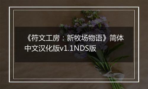 《符文工房：新牧场物语》简体中文汉化版v1.1NDS版