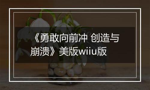 《勇敢向前冲 创造与崩溃》美版wiiu版
