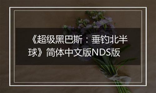 《超级黑巴斯：垂钓北半球》简体中文版NDS版