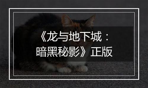 《龙与地下城：暗黑秘影》正版