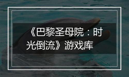 《巴黎圣母院：时光倒流》游戏库
