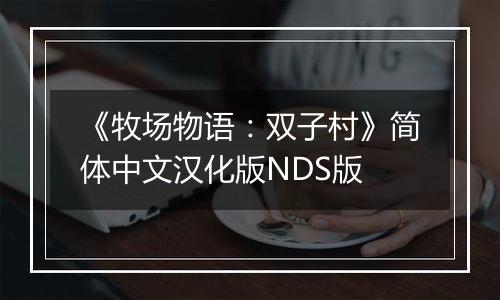 《牧场物语：双子村》简体中文汉化版NDS版