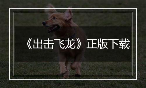 《出击飞龙》正版下载