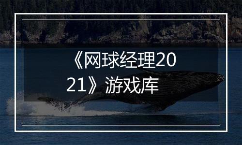 《网球经理2021》游戏库