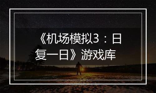 《机场模拟3：日复一日》游戏库