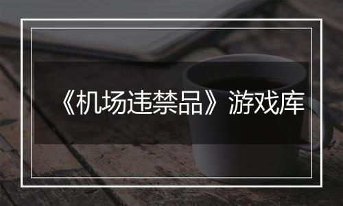 《机场违禁品》游戏库