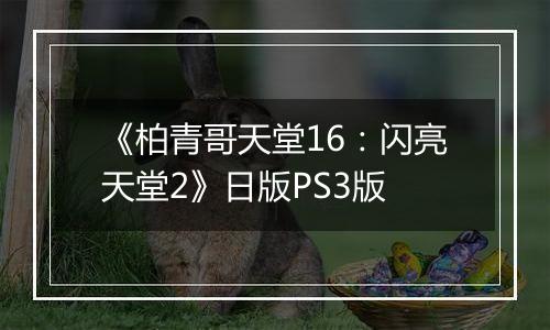 《柏青哥天堂16：闪亮天堂2》日版PS3版