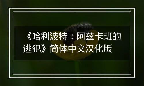 《哈利波特：阿兹卡班的逃犯》简体中文汉化版