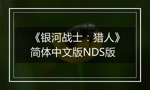 《银河战士：猎人》简体中文版NDS版
