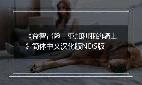 《益智冒险：亚加利亚的骑士》简体中文汉化版NDS版