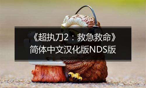 《超执刀2：救急救命》简体中文汉化版NDS版