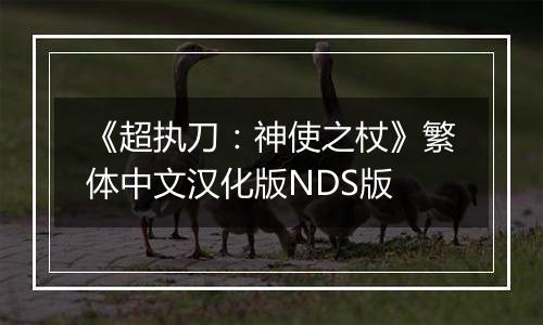 《超执刀：神使之杖》繁体中文汉化版NDS版
