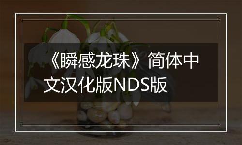 《瞬感龙珠》简体中文汉化版NDS版