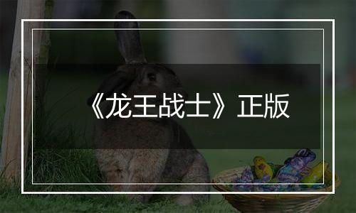 《龙王战士》正版