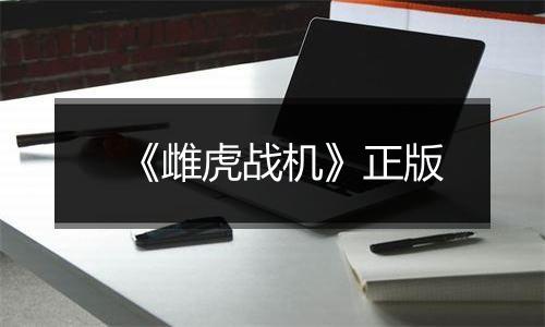《雌虎战机》正版
