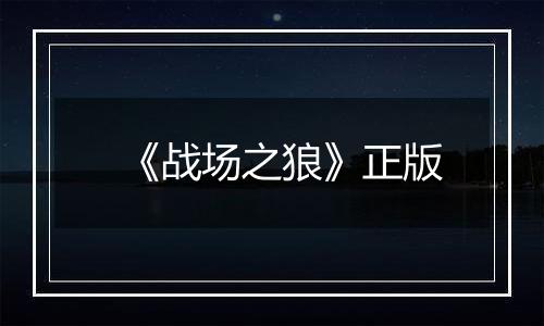 《战场之狼》正版