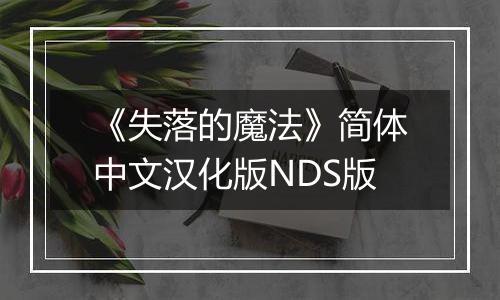 《失落的魔法》简体中文汉化版NDS版