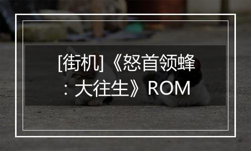 [街机]《怒首领蜂：大往生》ROM
