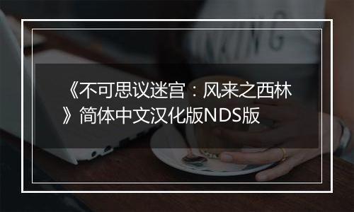 《不可思议迷宫：风来之西林》简体中文汉化版NDS版