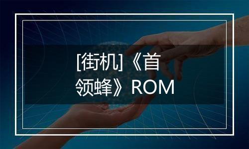 [街机]《首领蜂》ROM
