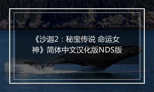 《沙迦2：秘宝传说 命运女神》简体中文汉化版NDS版
