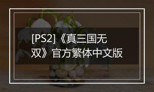 [PS2]《真三国无双》官方繁体中文版