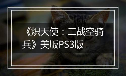 《炽天使：二战空骑兵》美版PS3版