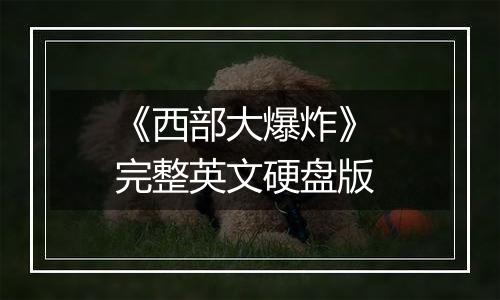 《西部大爆炸》 完整英文硬盘版
