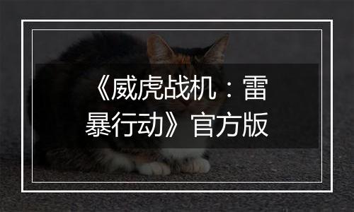 《威虎战机:雷暴行动》官方版