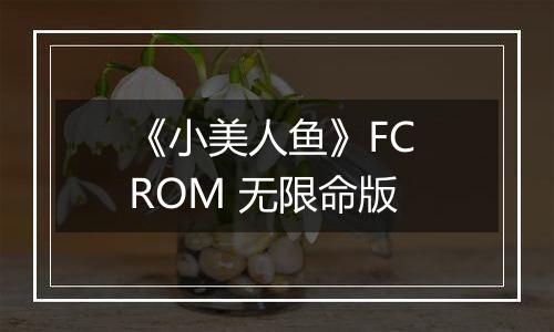 《小美人鱼》FC ROM 无限命版