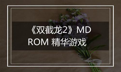 《双截龙2》MD ROM 精华游戏