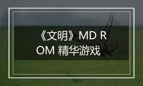 《文明》MD ROM 精华游戏