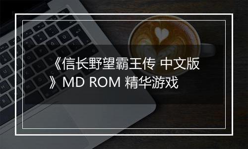 《信长野望霸王传 中文版》MD ROM 精华游戏