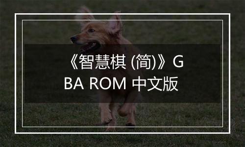 《智慧棋 (简)》GBA ROM 中文版