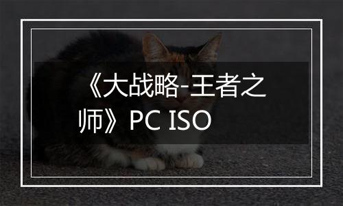 《大战略-王者之师》PC ISO