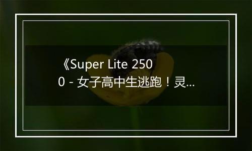 《Super Lite 2500 - 女子高中生逃跑！灵异解谜学园》 日版NDS版