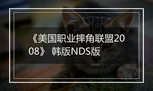 《美国职业摔角联盟2008》 韩版NDS版
