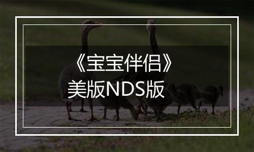《宝宝伴侣》 美版NDS版