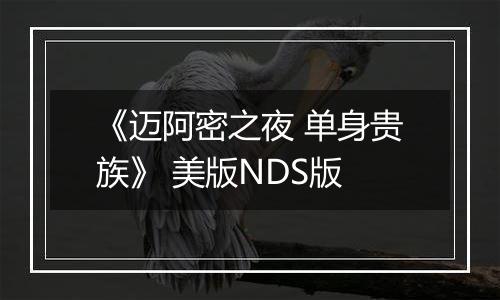 《迈阿密之夜 单身贵族》 美版NDS版