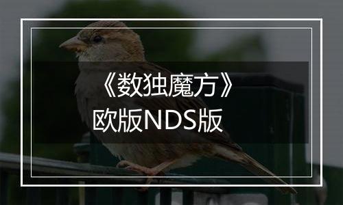 《数独魔方》 欧版NDS版