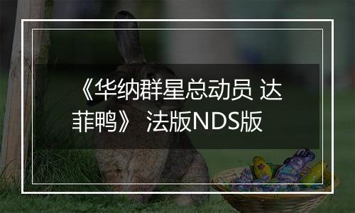 《华纳群星总动员 达菲鸭》 法版NDS版