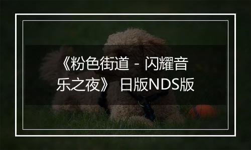 《粉色街道 - 闪耀音乐之夜》 日版NDS版
