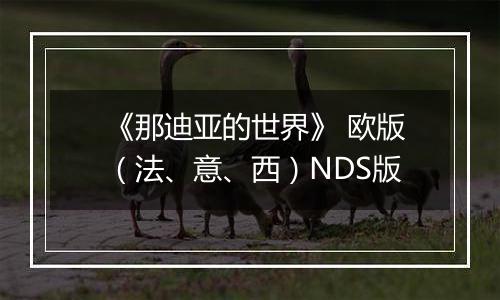 《那迪亚的世界》 欧版（法、意、西）NDS版