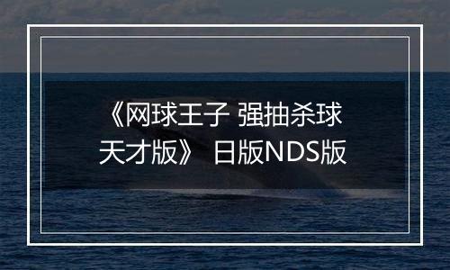 《网球王子 强抽杀球 天才版》 日版NDS版